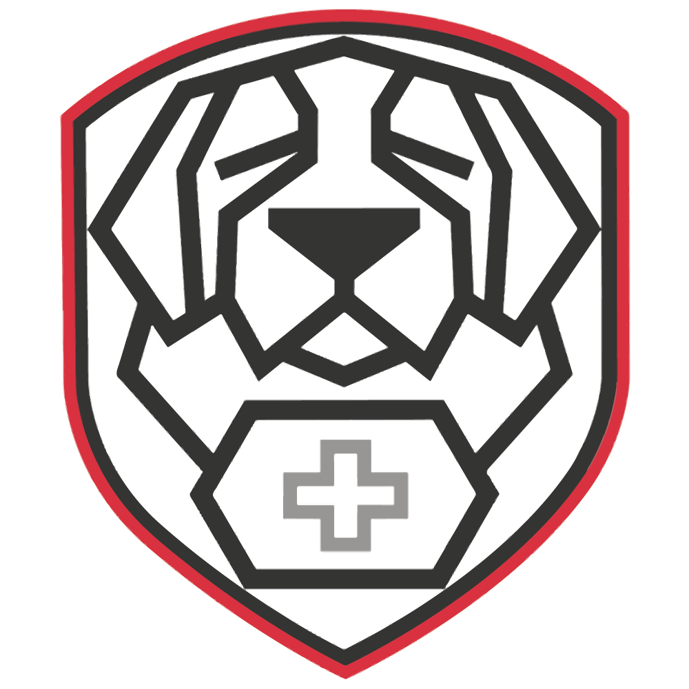 Saint-Bernard_Academy