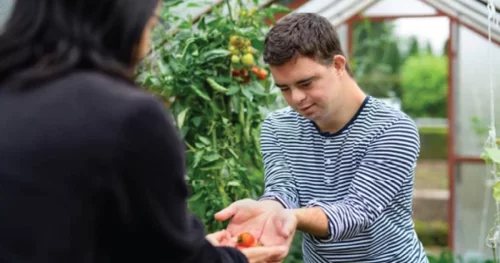 RTF: First Aid Standards and Mandatory CPR Training